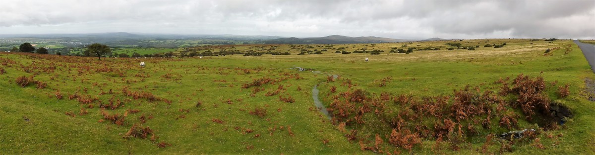 P1150026 Dartmoor National Park (2)